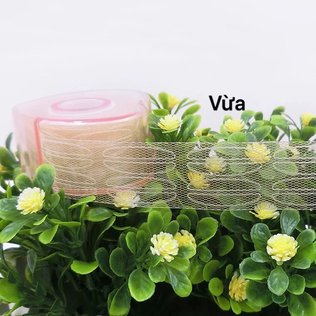 Cuộn kích mí lưới tự nhiên thanhcosmetics