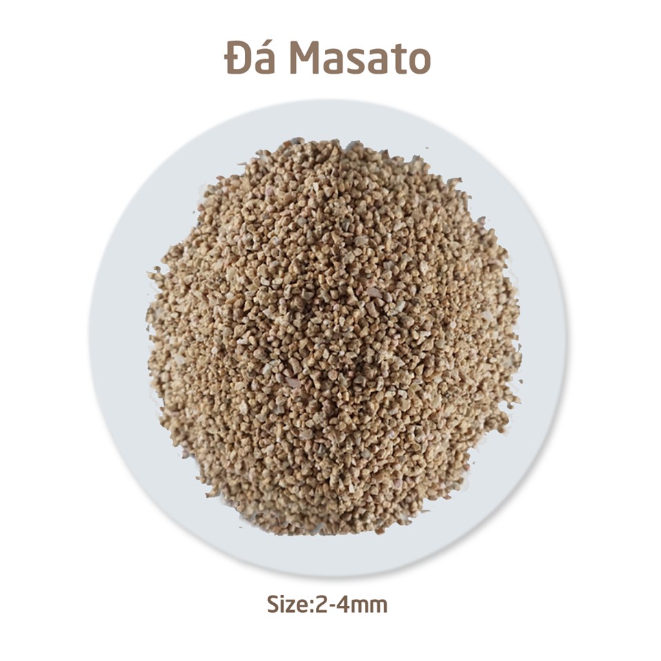 ĐÁ MASATO GIỮ MÀU SEN ĐÁ 1kg