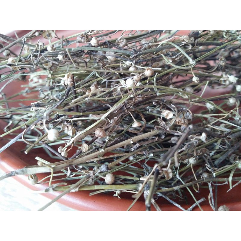 [Shop Mới] 1kg Bạch Hoa Xà Thiệt Thảo - Hàng chuẩn (khô, sạch, nguyên chất)