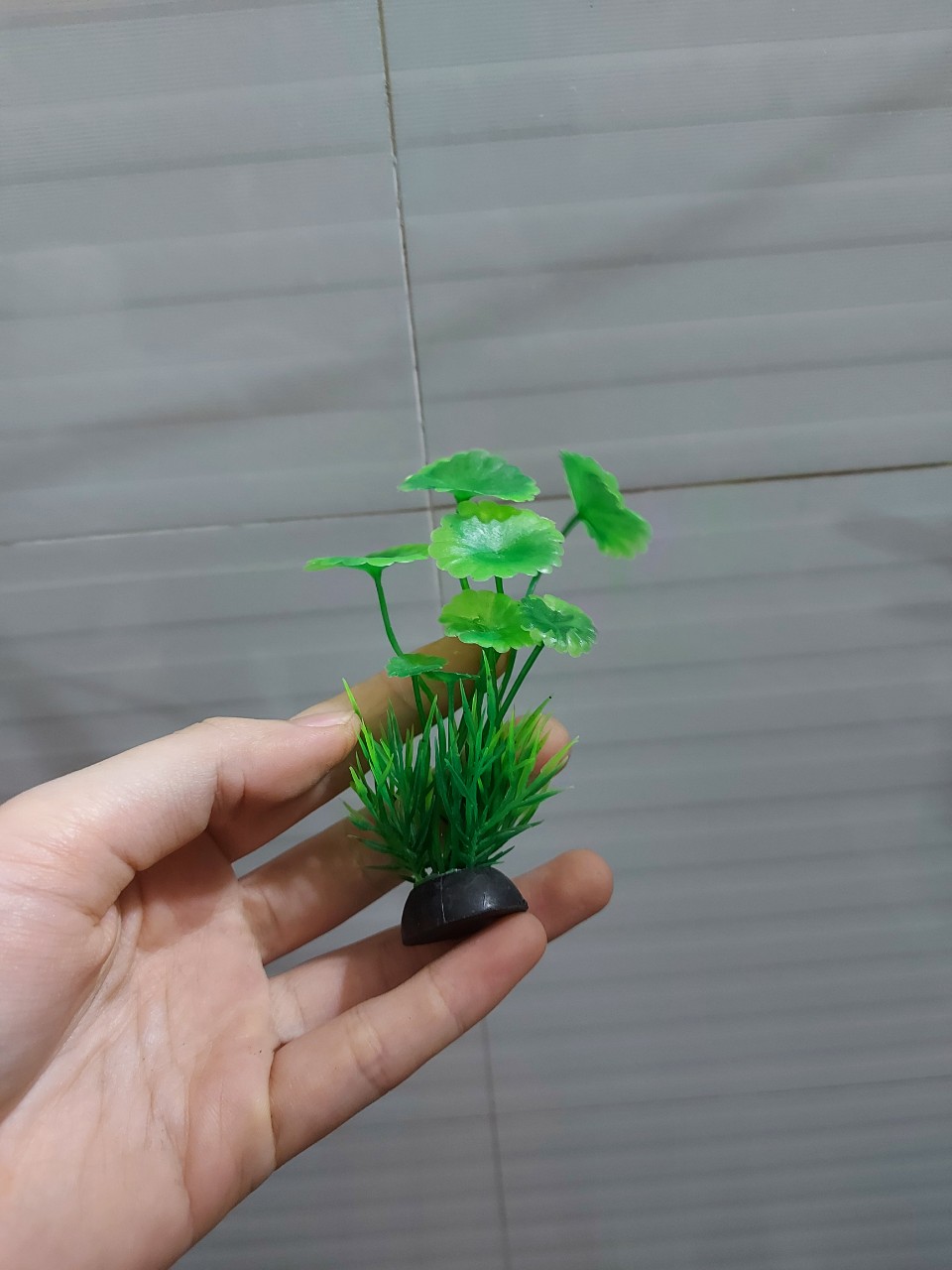 Phụ kiện trang trí bể cá: cây nhựa mini