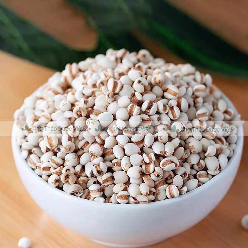 Hạt ý dĩ nếp 1kg, hạt bobo, y dĩ nấu sữa hạt, thơm, bở bùi, nấu chè, cháo, hầm gà - Chợ Thảo Dược Việt