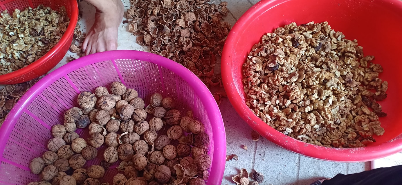 Nhân óc chó nếp trắng 1kg