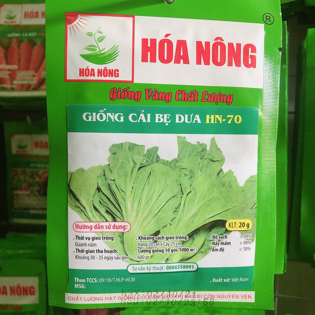 Giống rau cải bẹ dưa hn-70 (20gr)