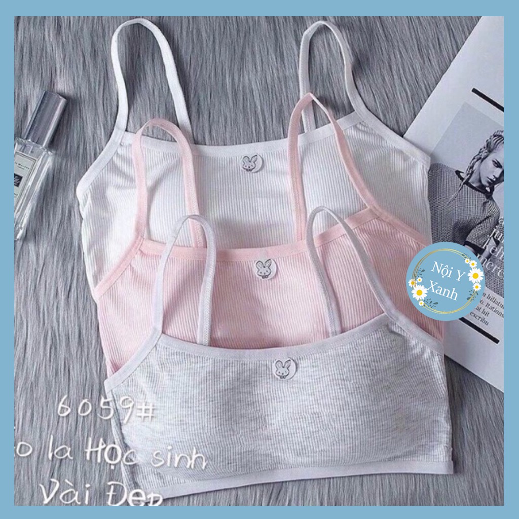 Áo bra thỏ học sinh cotton đẹp