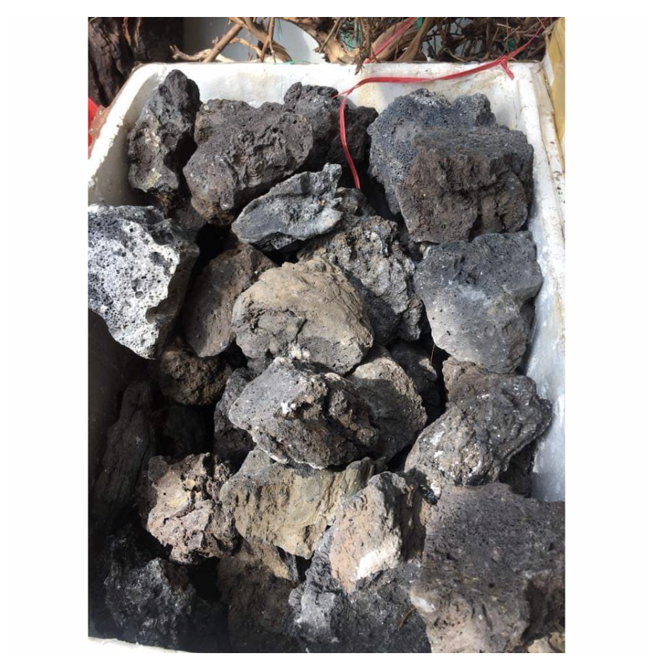 Đá Đen Gia Lai 1 Kg