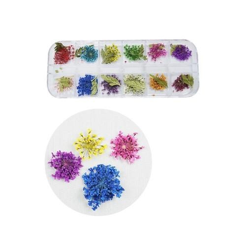 [HCM]SET HOA KHÔ TRANG TRÍ MÓNG - hoa khô