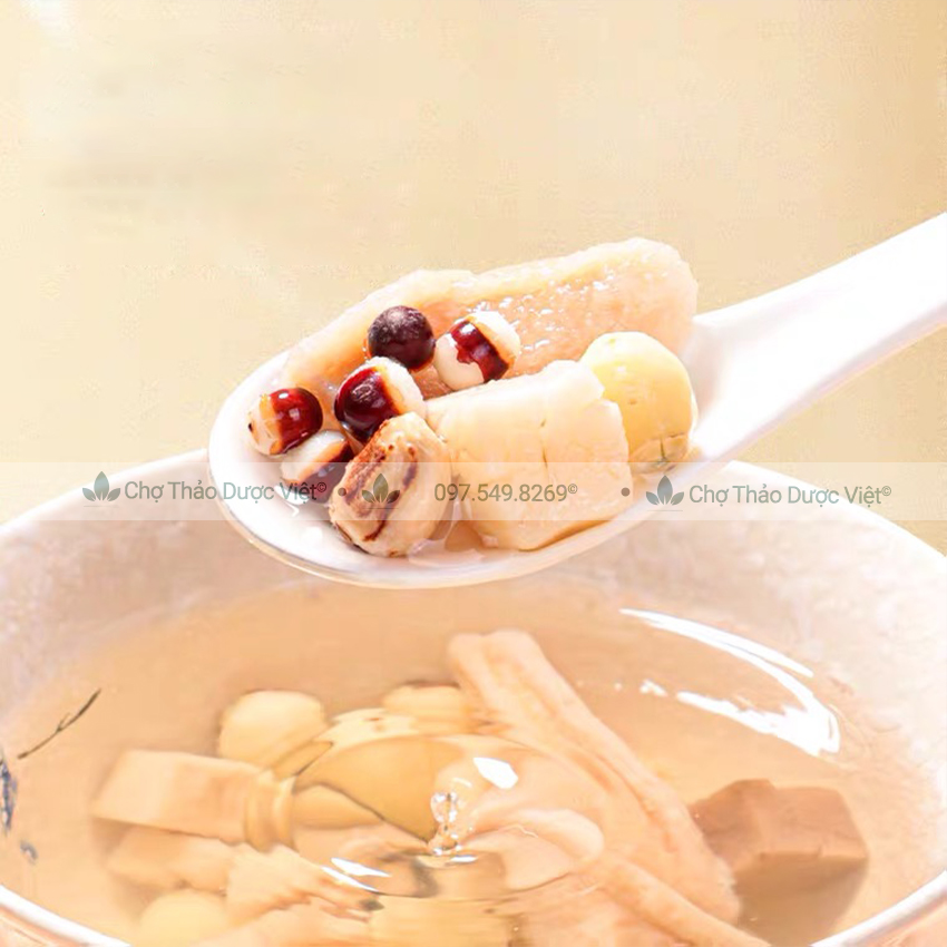 Canh tứ thần (Hạt sen, y dĩ, bạch linh, khiếm thực, hoài sơn) - Chợ Thảo Dược Việt