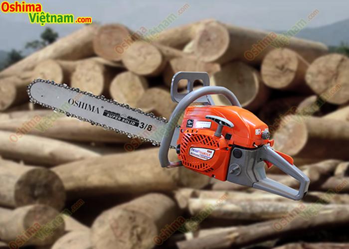 Máy cưa xích Oshima 688 chất lượng cao