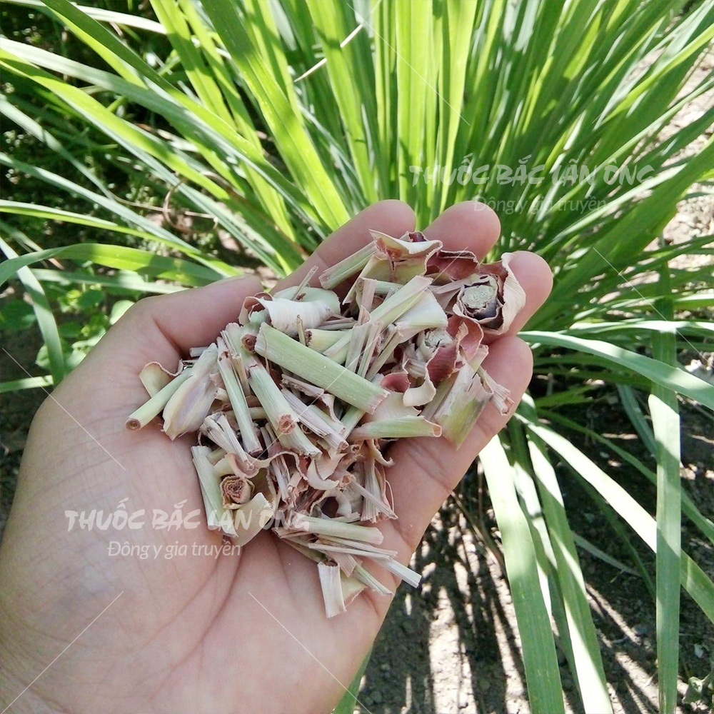 Củ sả khô 500g (Hàng khô, thơm, dùng pha trà, xông hơi)