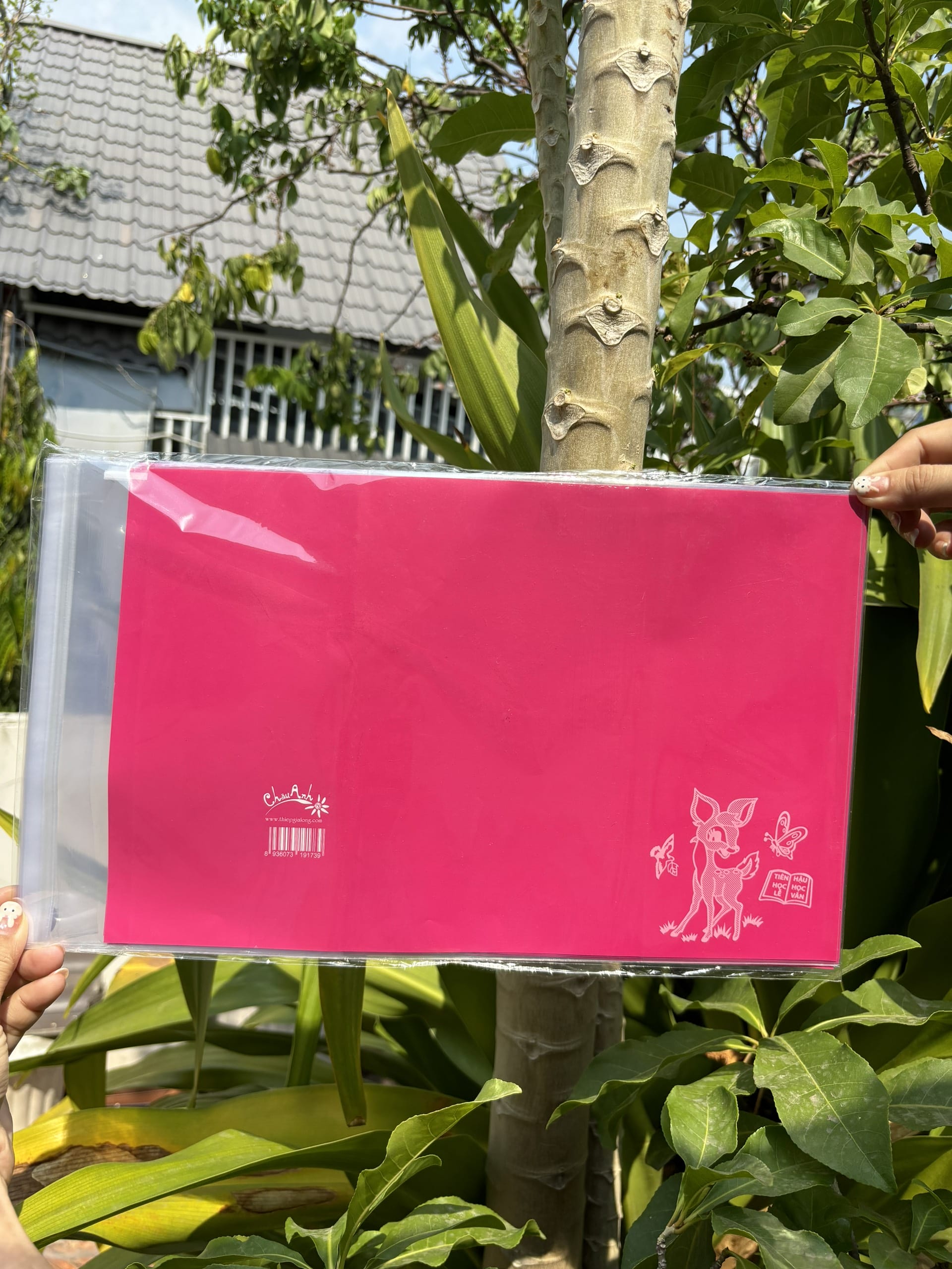 COMBO 10 tờ bao tập nilon giấy màu thủ công (15.5x20.5cm)