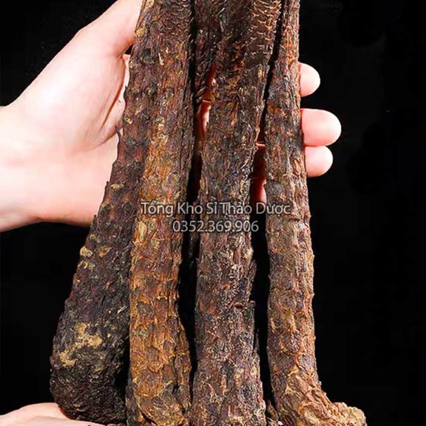 Nhục Thung Dung 1kg (Hàng Loại 1, To, Thơm)