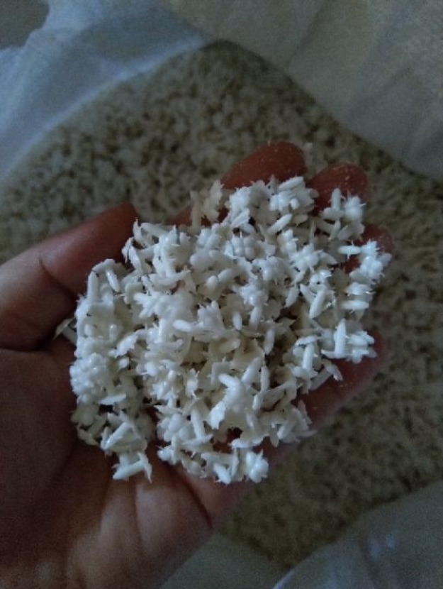 1 lạng cành chia tú cầu (cành chia + nhị trắng)