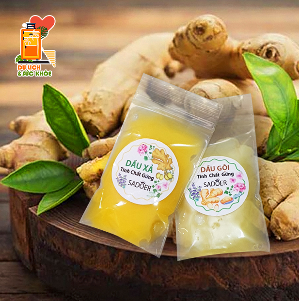 [Set nhỏ du lịch] Dầu Gội Dầu Xả Tinh Chất Gừng Sadoer Kích Thích Mọc Tóc, Giảm Gãy Rụng, Sạch Gàu, Dưỡng Tóc Khỏe Mượt