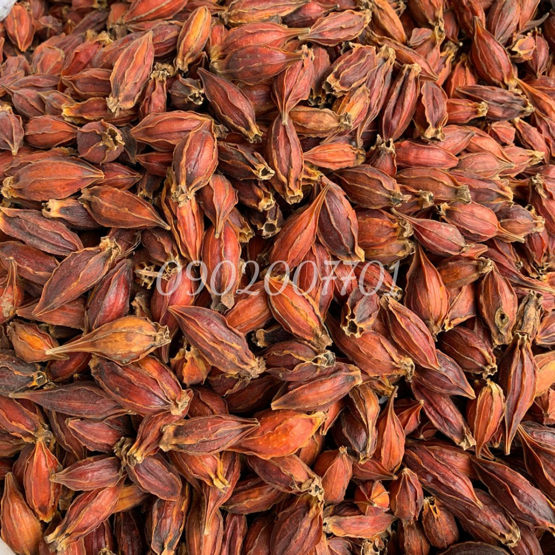 1 Kg Hạt Dành Dành, Hạt Chi Tử khô Loại Ngon