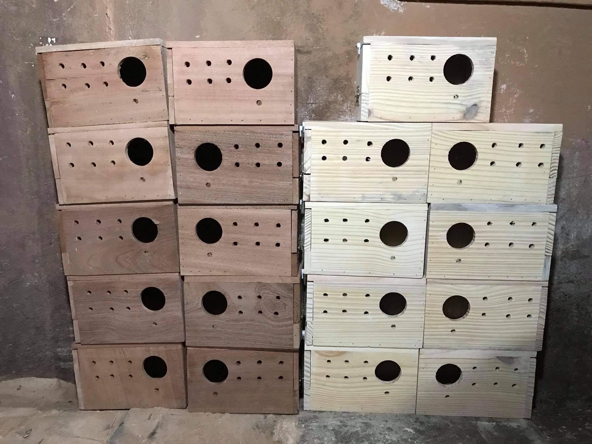 Tổ đẻ chim yến phụng KT24x15x15