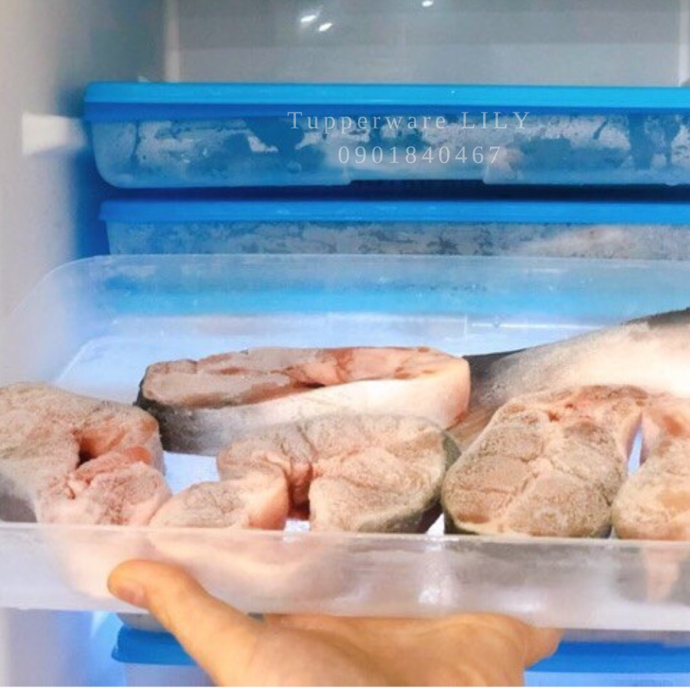 Hộp đông 1.2L - Tupperware
