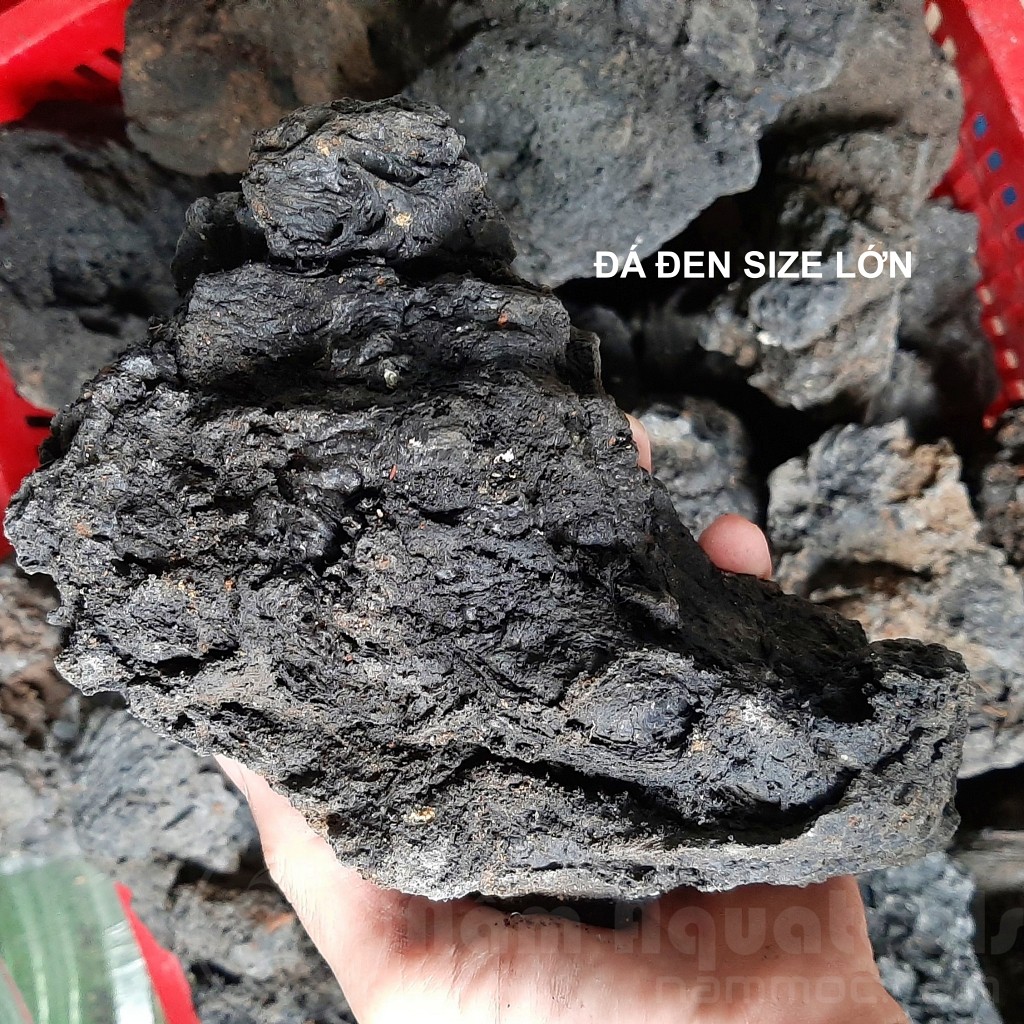 1KG Đá Đen Gia Lai - Setup Bể Thuỷ Sinh Cực Đẹp