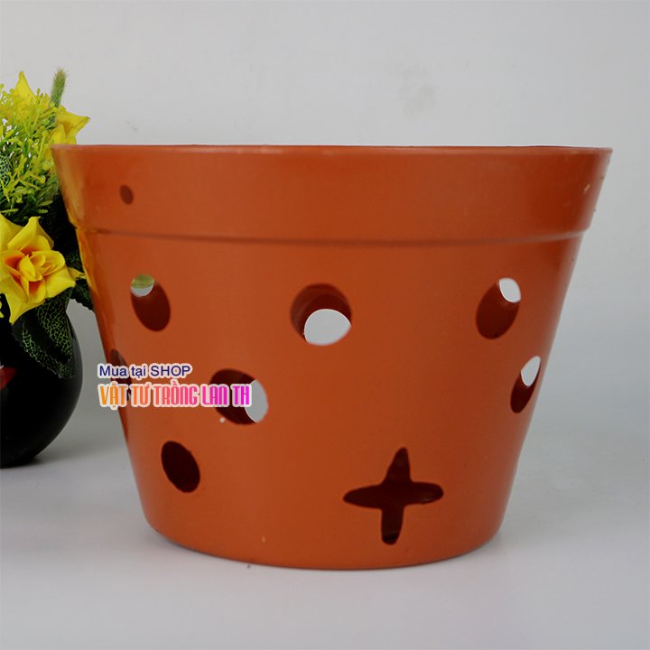 Chậu nhựa trồng lan, ươm kie phi 17