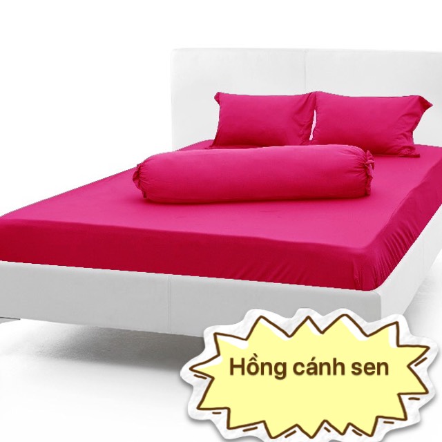 [HCM]Bộ drap thun Hàn Quốc mát lạnh { 4 món } đủ size