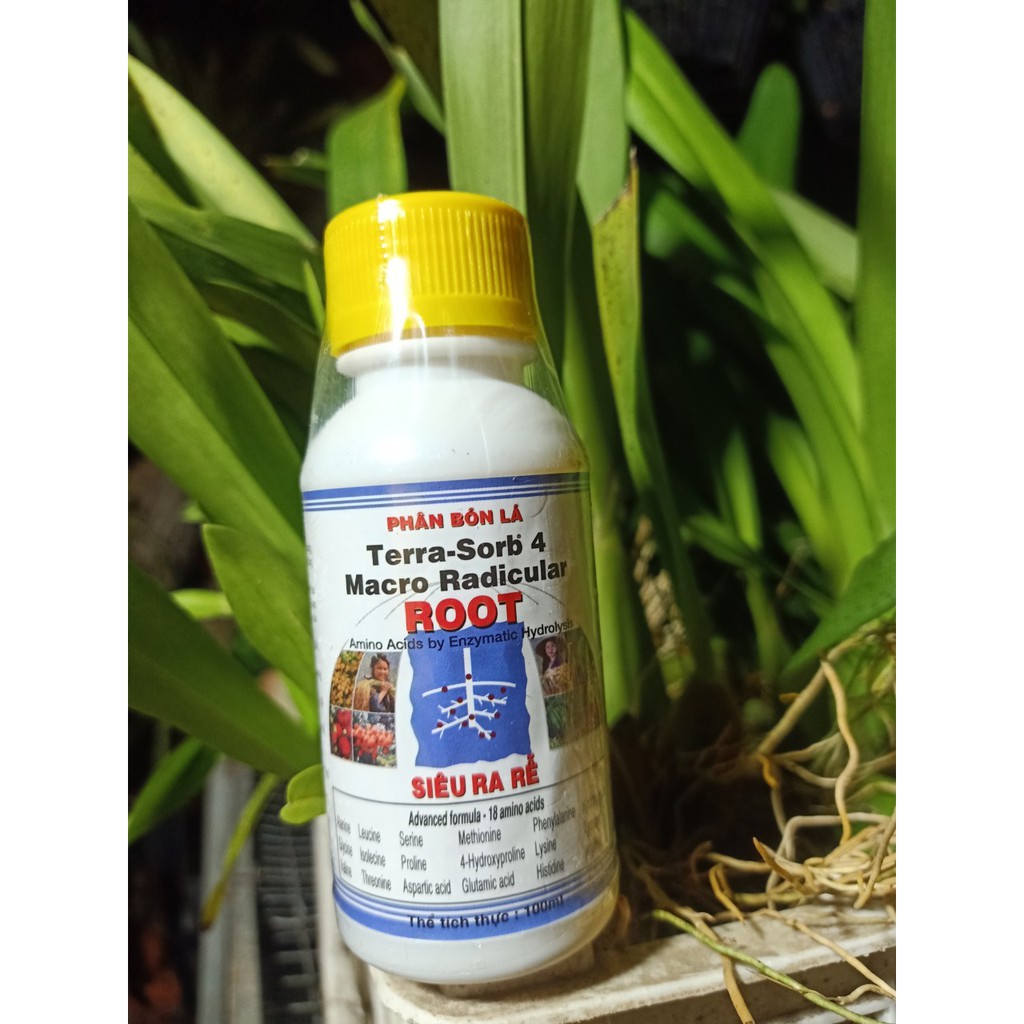 Phân Bón Lá Siêu Ra Rễ Terra - Sorb 4 Root Chai 100ml
