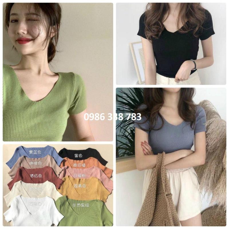 Áo len tăm cổ tim cộc tay - Loại 1