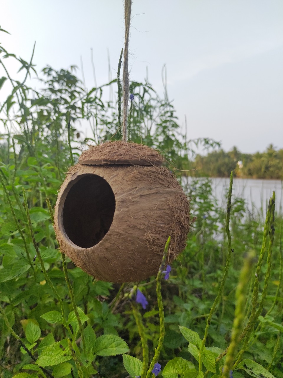 TỔ CHIM, SÓC, THÚ CƯNG BẰNG GÁO DỪA (KHOAN ĐẦU GÁO)