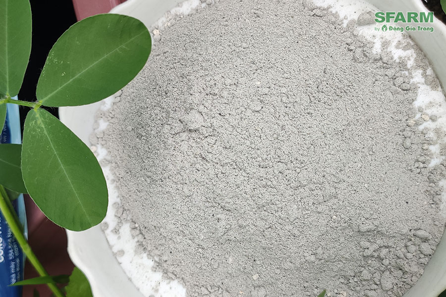 Gói 1kg Nấm đối kháng Trichoderma Plus Humic và Trichoderma SFARM