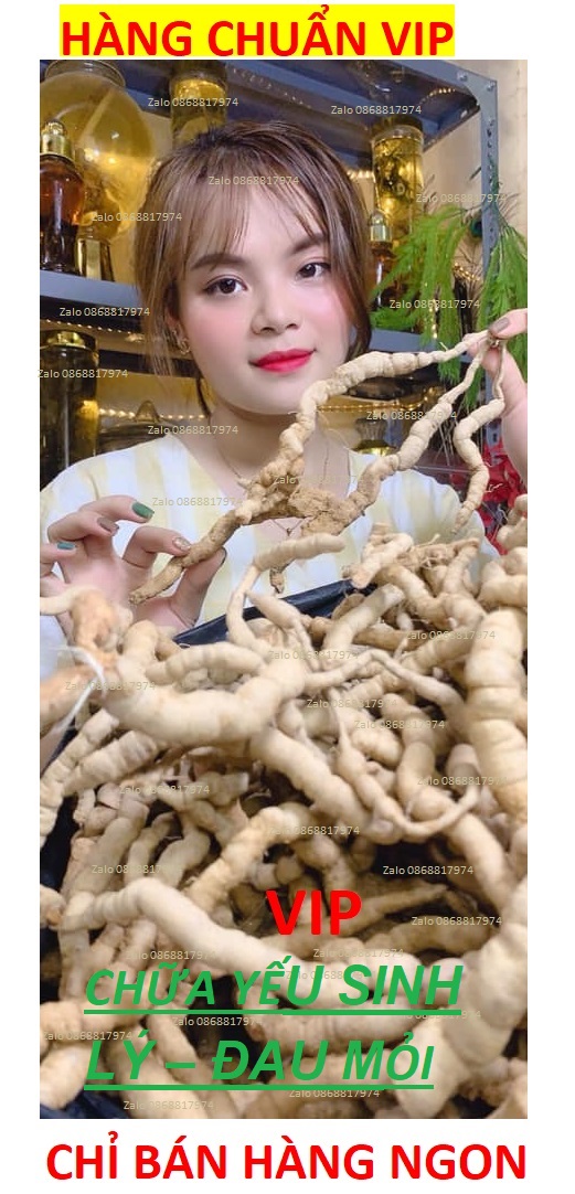 [ HÀNG VIP ] BA KÍCH TÍM HÀNG CHUẨN VIP - ẤM-THÂN.-TRÁNG DƯƠNG-KHỎE GÂN CỐT-TRỪ PHONG THẤP- HẠ-HUYẾT-ÁP-TĂNG ĐỀ-KHÁNG BKT 1.3 [ BÁN CHẠY I ]