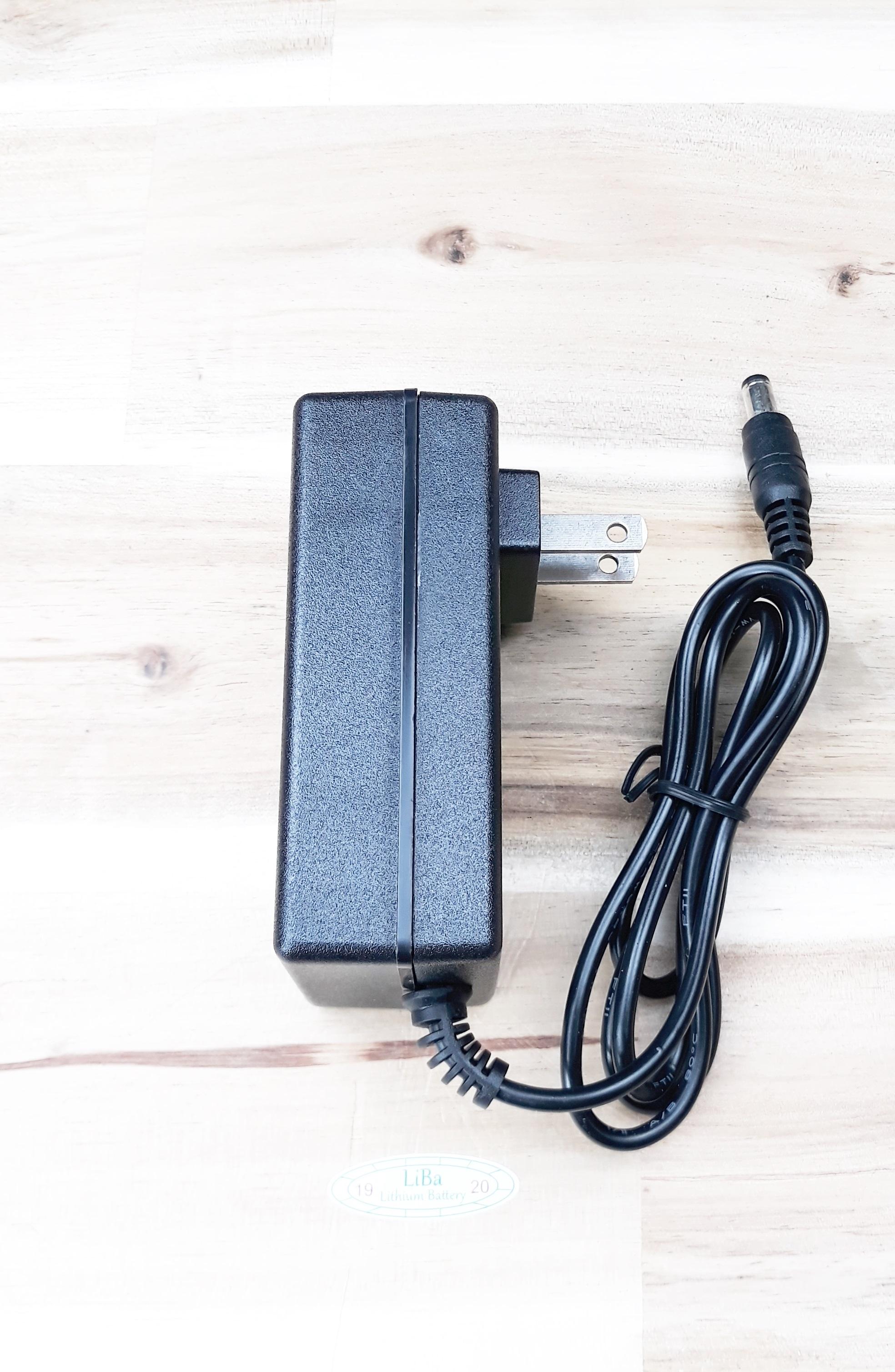 [HCM]Sạc chuyên dụng pin Lithium 12V _ Liba
