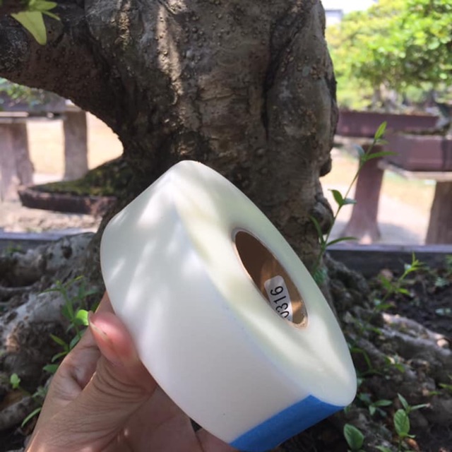 Băng keo ghép cây tự hủy, Băng quấn mối ghép cành cây.