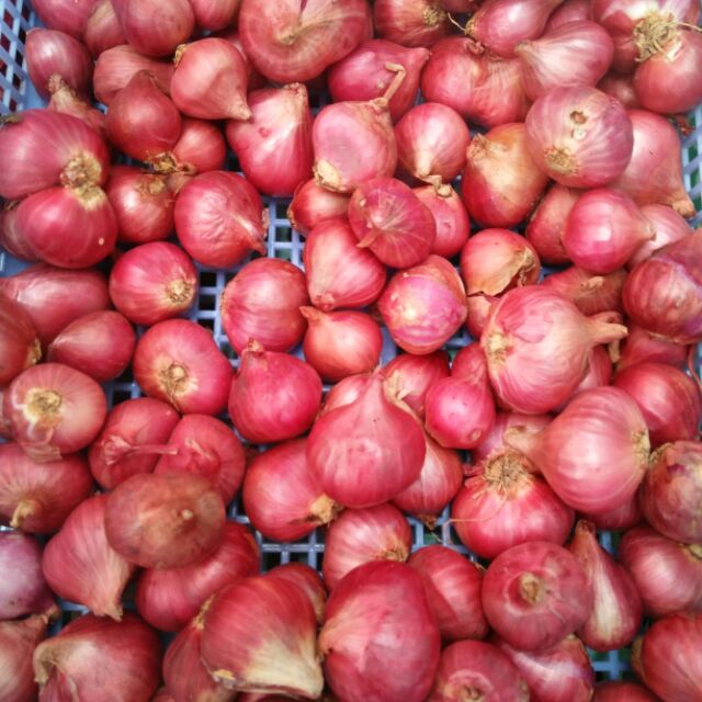 Hành Tím Lý Sơn (1kg)