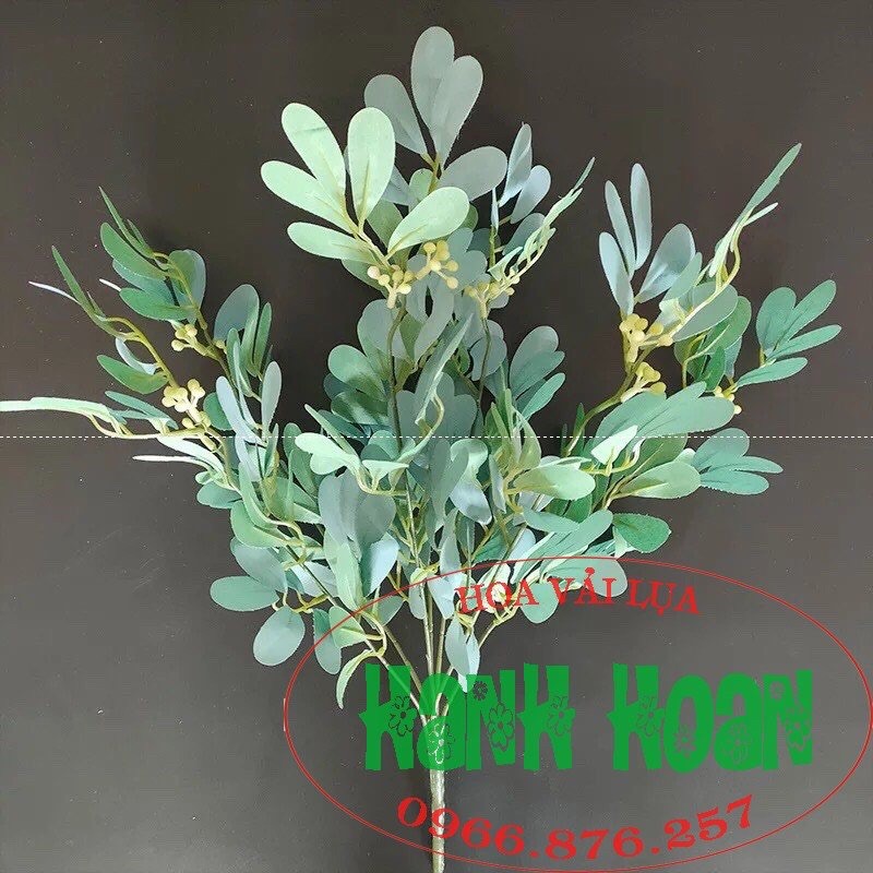 Chùm lá thanh mai - Lá giả