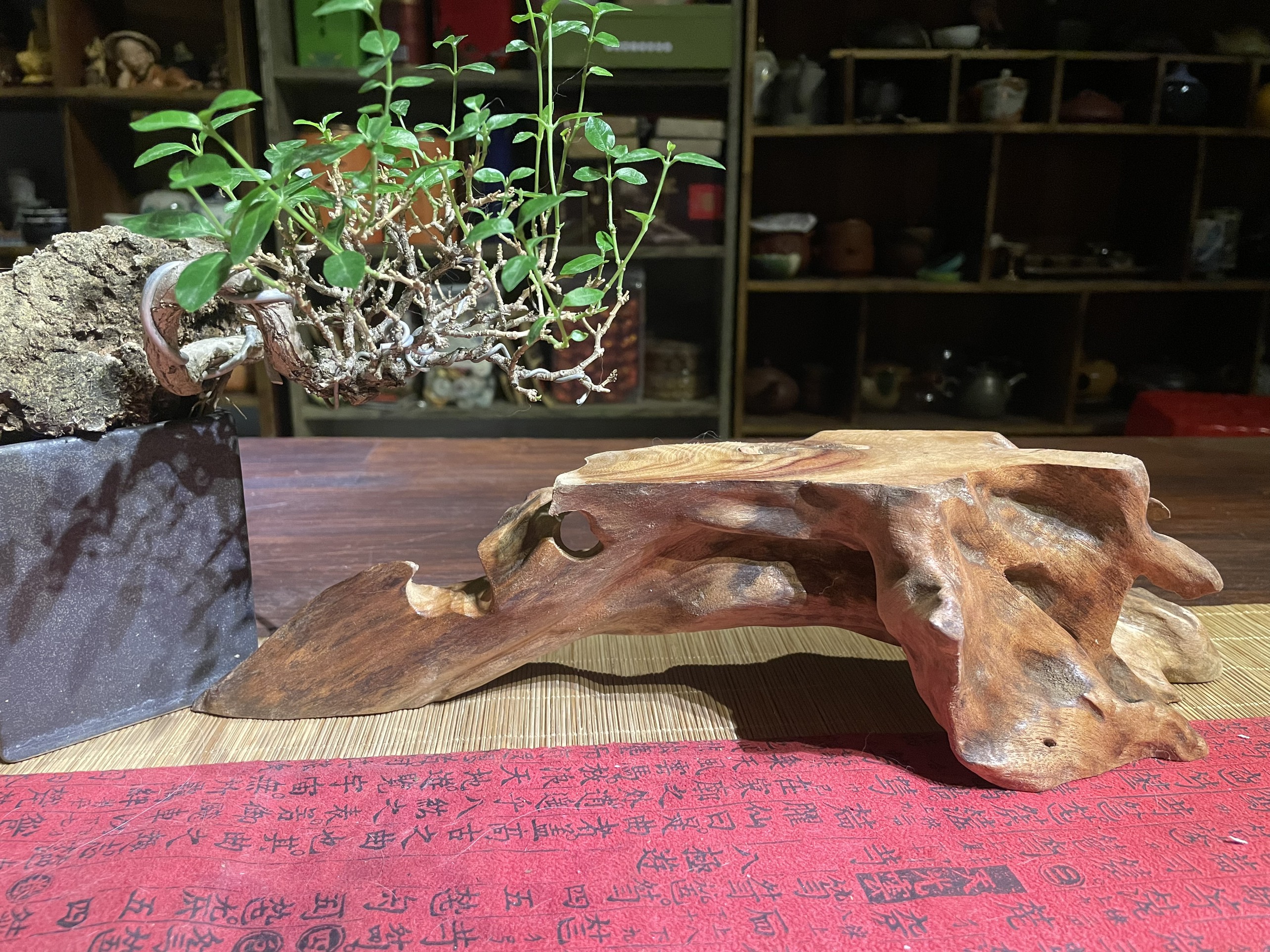 Đôn Gỗ Tự Nhiên| Kê tượng, bonsai, bàn trà