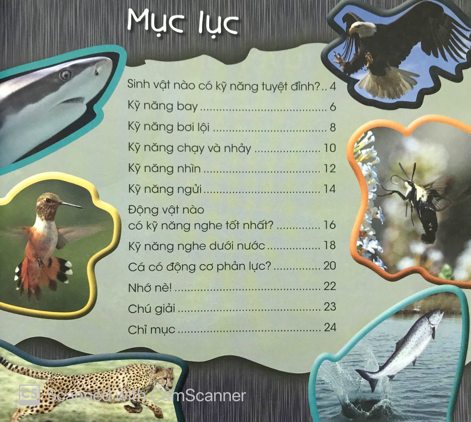Độc Lạ Phi Thường - Kỹ Năng Tuyệt Đỉnh