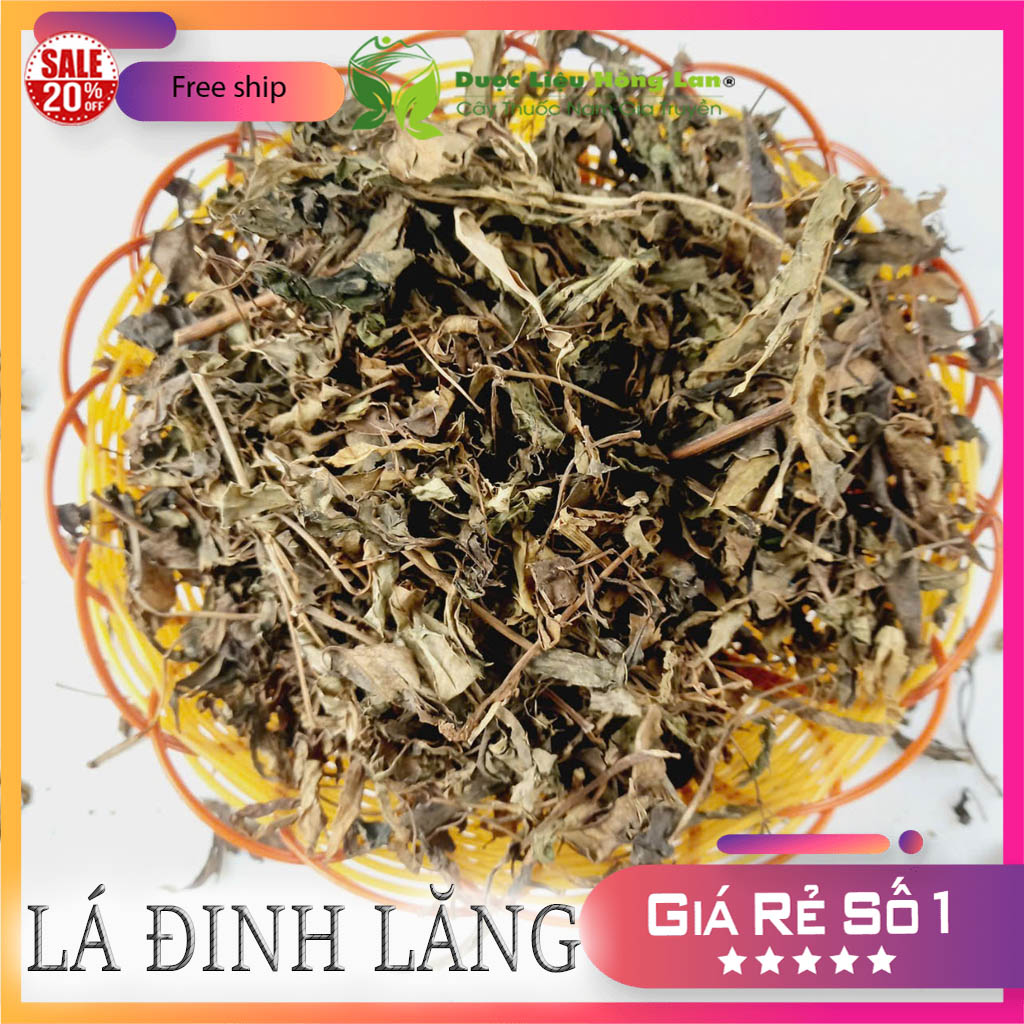 [FreeshipMAX] [HCM]Lá Đinh Lăng khô 1kg