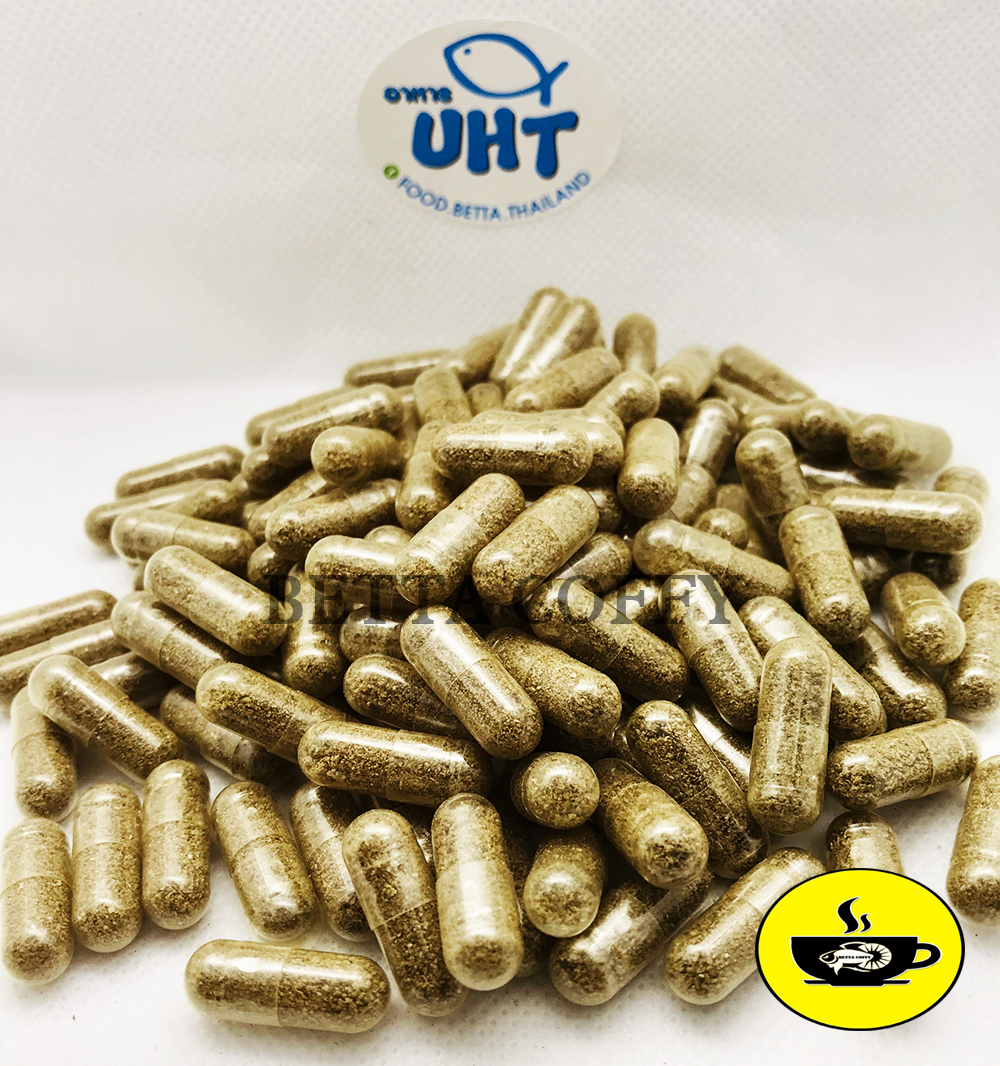 Artemia Nước Ngọt - Dạng viên FULL vỏ  BETTA COFFY