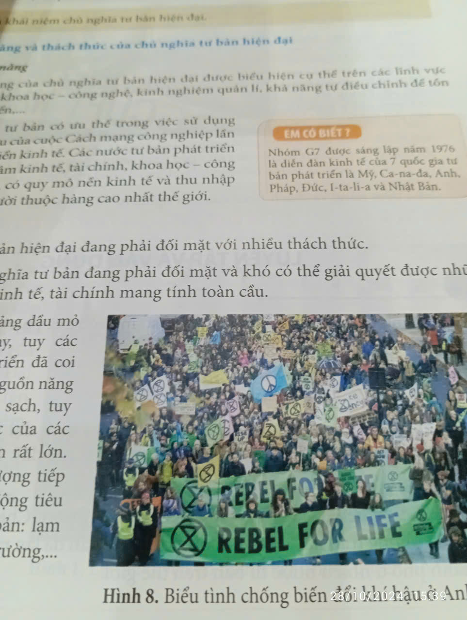 Lịch sử 11 - Kết nối Sgk