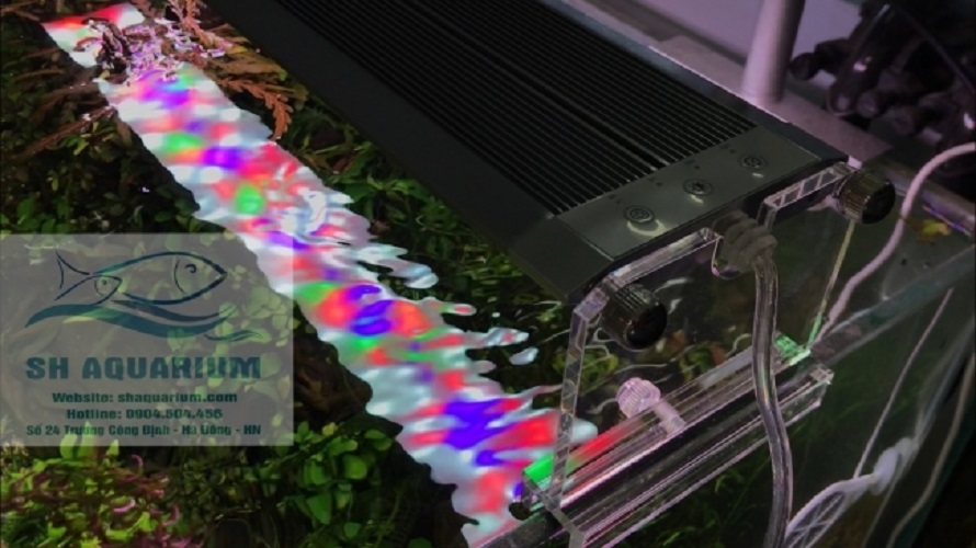[HOÀN TIỀN 10%]ĐÈN LED WEEK RAPTOR RGB D60CM