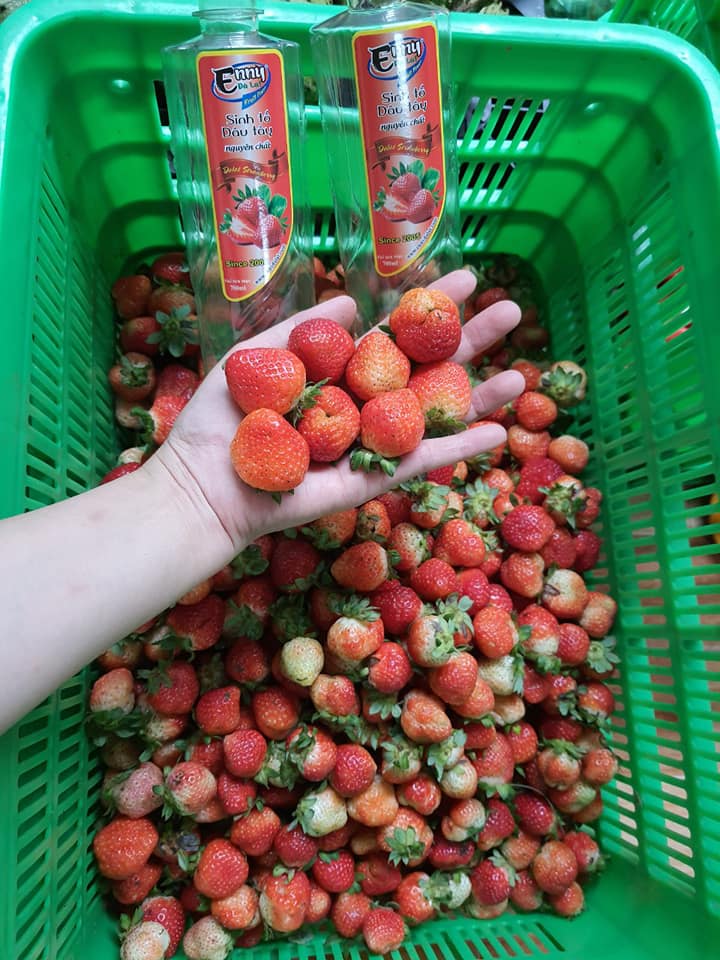 HCM Sinh tố DÂU TÂY 700ml ENNY Đà Lạt