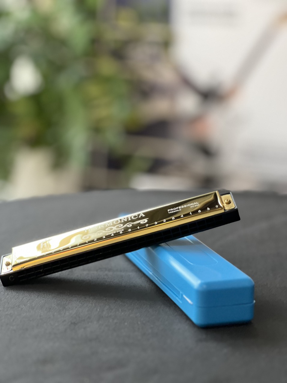 Kèn harmonica tremolo 24 lỗ cho người mới chơi