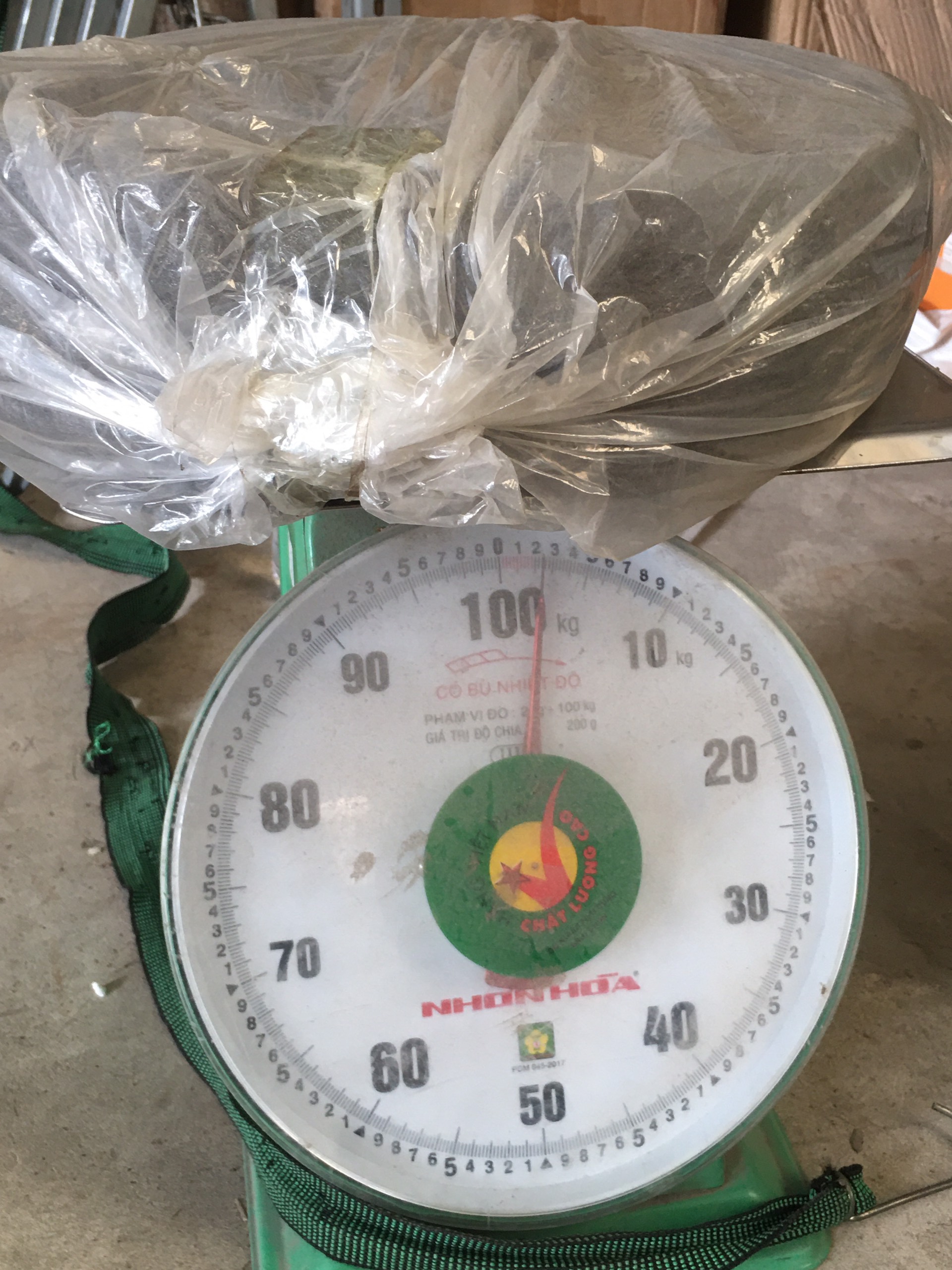 Bùi Nhùi Thép Cuộn Lớn