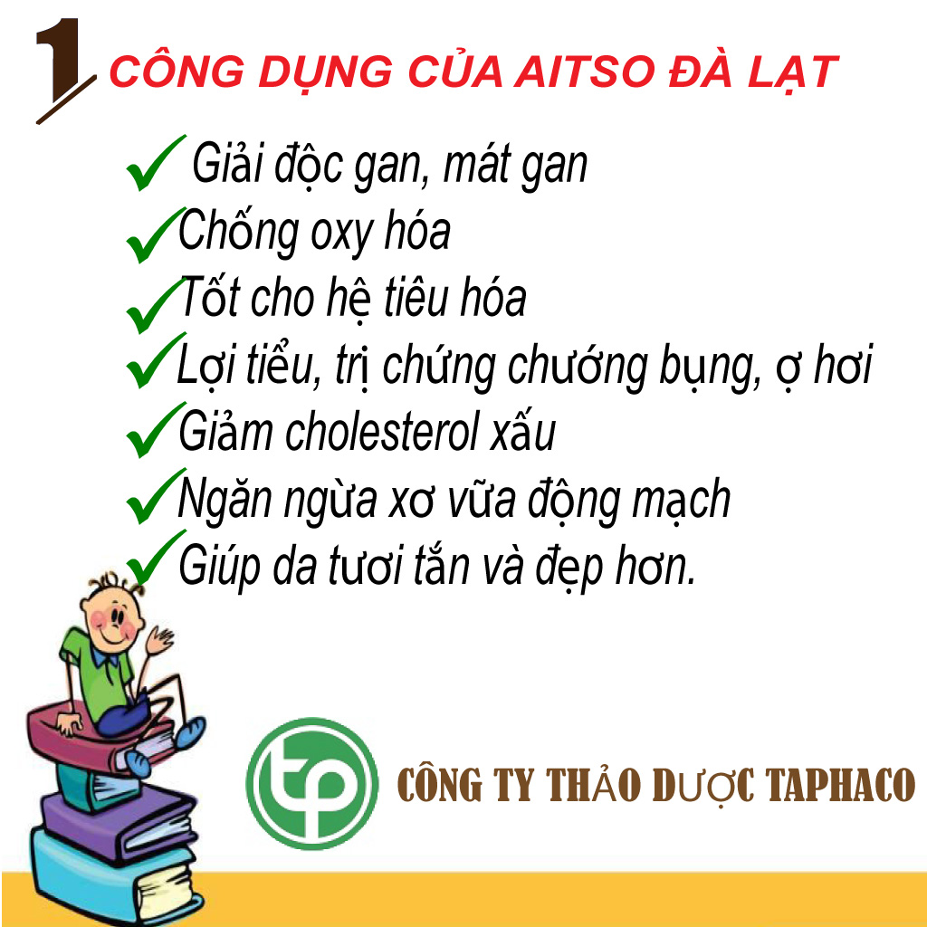 Bột atiso đà lạt 500gr - TaPhaCo