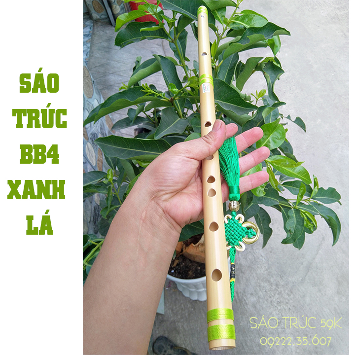 [HCM]SÁO TRÚC BB4 XANH LÁ HL59