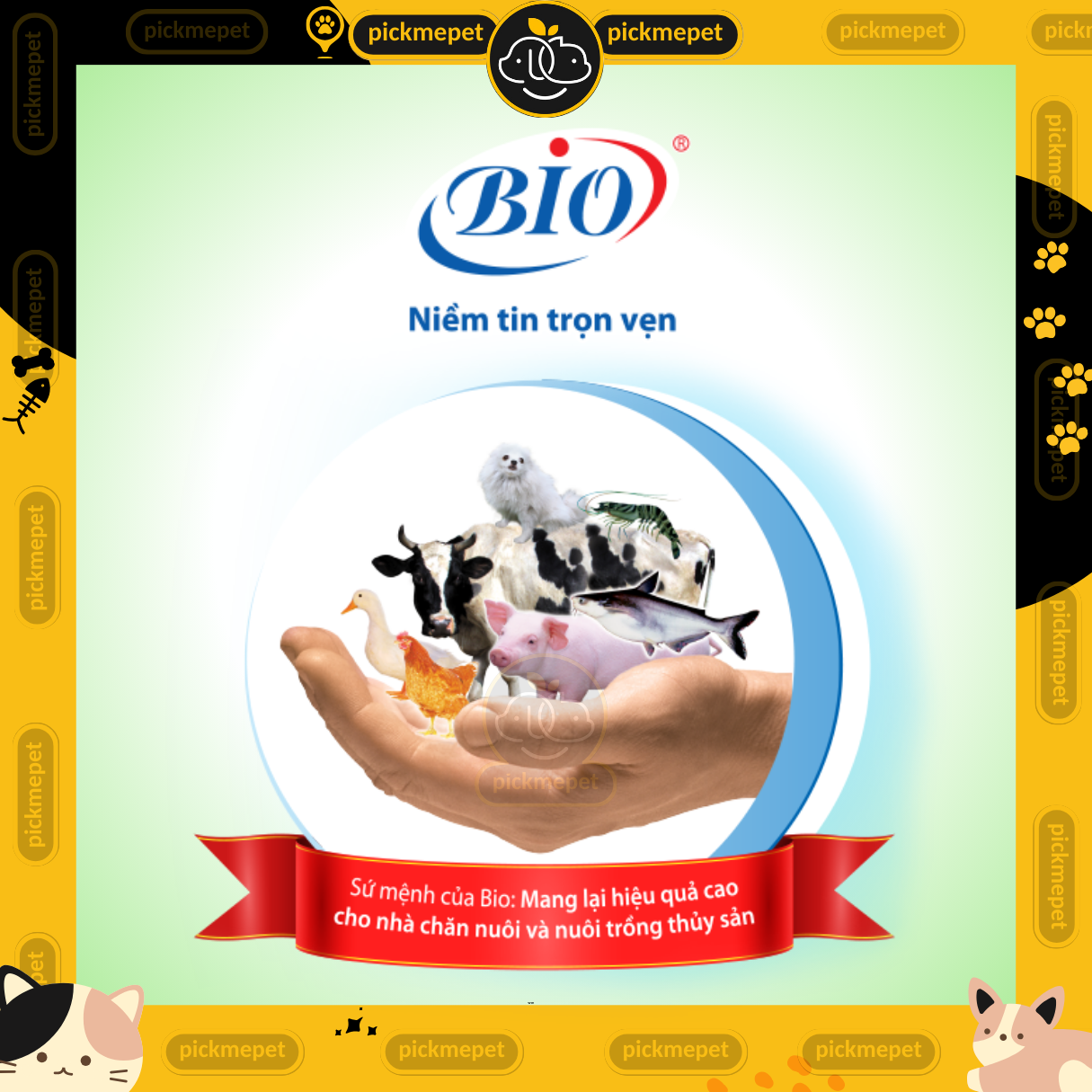 Men Biotic Hỗ Trợ Tiêu Hóa Cho Chó Mèo