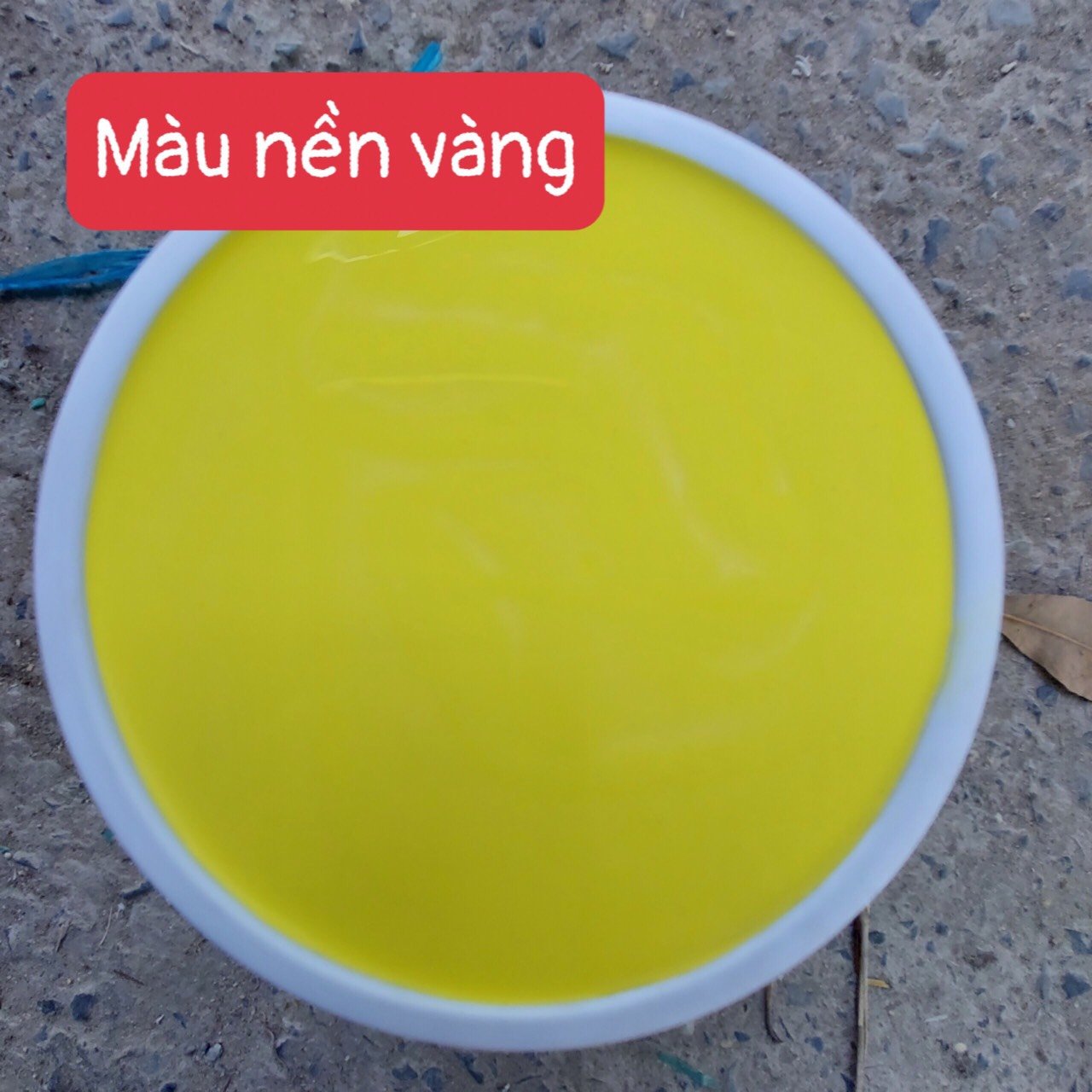 Sơn chuyên dụng dành cho chậu cảnh (1kg)