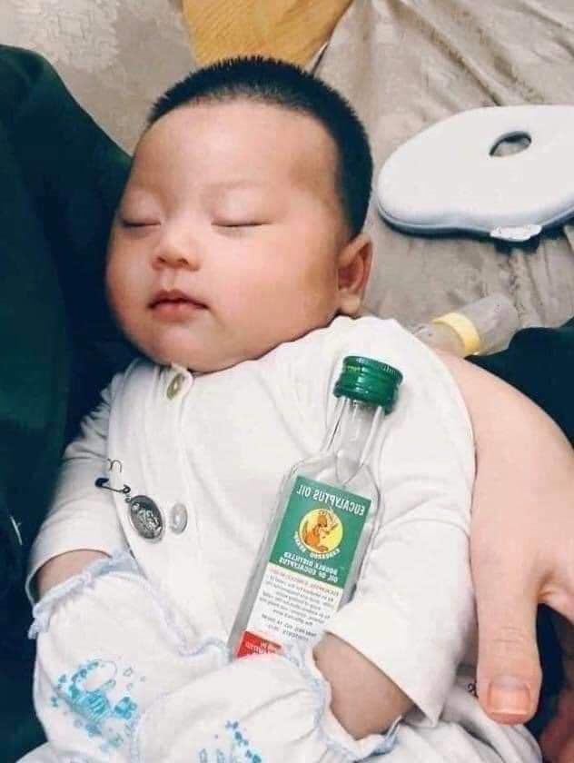 Dầu khuynh diệp Kangaroo Thái Lan