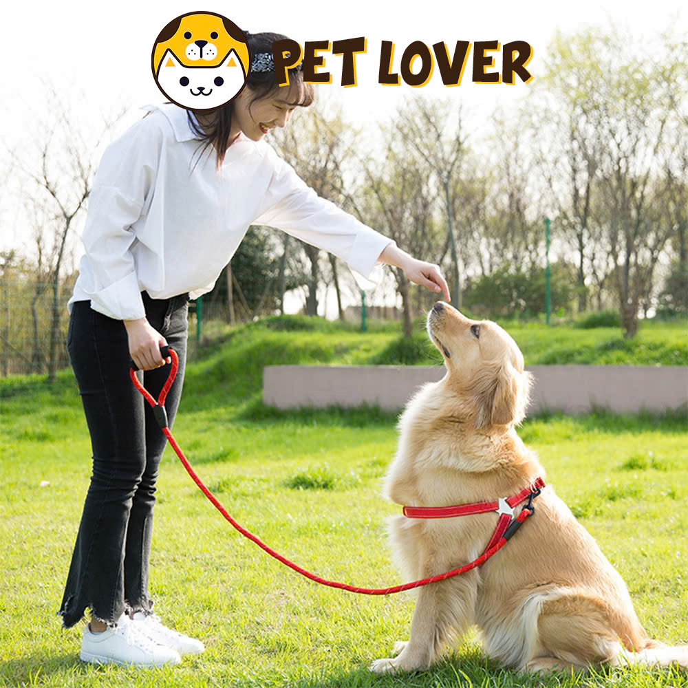 Dây dắt chó yếm dắt chó mèo chắc chắn siêu cute - Petlover