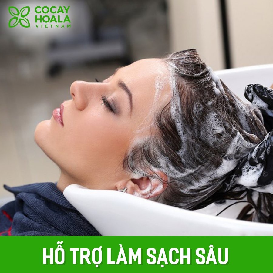 Dầu gội Hà Thủ Ô giúp tóc bạc thành tóc đen trở lại