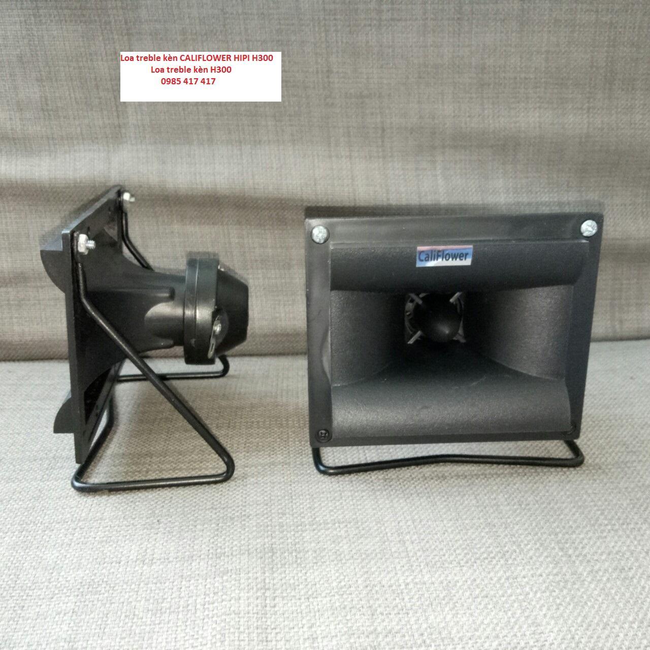 Loa treble KEN CALIFLOWER HIPI H300