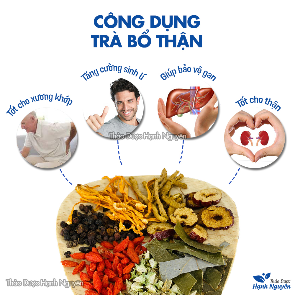 Trà bổ thận (1 Gói mix sẵn bồi bổ sức khỏe tăng cường thể lực) - Thảo Dược Hạnh Nguyên